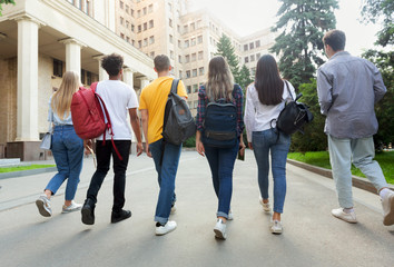 Students going to classes and chatting, back view
