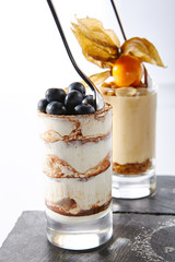 Two Classic Desserts with Cheesecake and Tiramisu Isolated