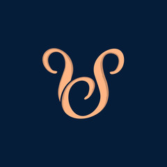 Letter S Beauty Luxury Creative Icon Logo Design Template Element Vector Illustration