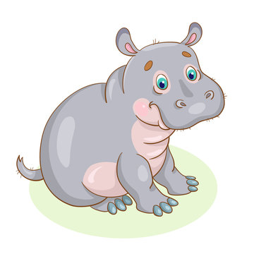 Little cute hippo sits and looks at us.  In cartoon style. Isolated on a white background.