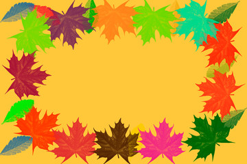 Naklejka na ściany i meble autumn, background of colored maple leaves, again to school, maple leaf, autumn fall leaves from trees