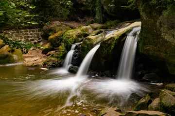 Tuinposter idyllic small waterfall in lush green forest landscape © makasana photo