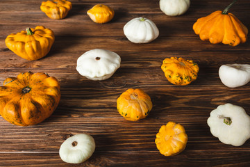 fresh picked gourds on wooden surface 