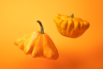 fresh gourds on bright yellow background