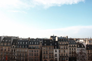 Fototapeta na wymiar Paris roofs