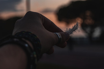 Inspirational photo about hand grabbing a feather of a bird with a sunset sunrise background....