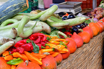 farmers market  different types of pumpkins, zucchini, red pepper, cabbage.  organic vegetables new harvest, market in Italy Tuscany Florence, vegan food , pumpkins halloween. selective focus
