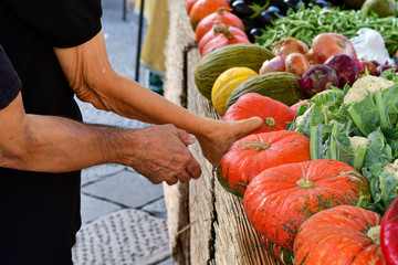 farmers market  different types of pumpkins, zucchini, red pepper, cabbage.  organic vegetables new...