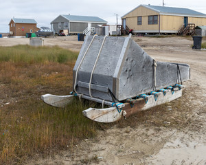 Arctic Dog Sled in Summer