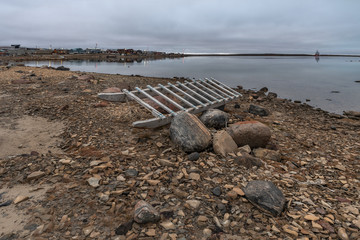 Arctic Dog Sled in Summer