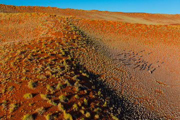 Gemsbok or gemsbuck (Oryx gazella), Namib Desert, Namibia, Africa