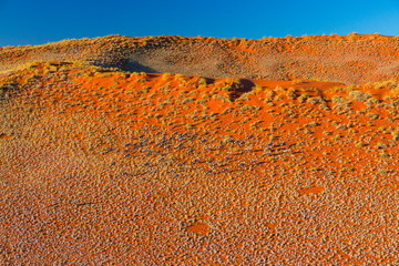 Gemsbok or gemsbuck (Oryx gazella), Namib Desert, Namibia, Africa