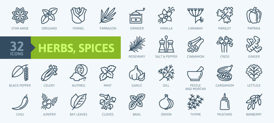 Spices, condiments and herbs  - minimal thin line web icon set. Outline icons collection. Simple vector illustration. - obrazy, fototapety, plakaty