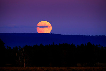 Harvest Moon Rising in Evening Sky with Hills and Forest