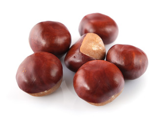 chestnuts on a white background