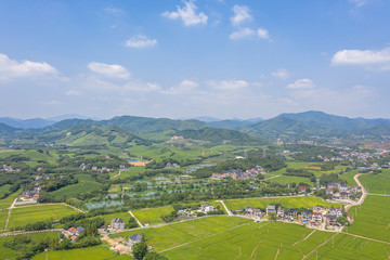 Naklejka premium farm