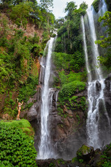 Obraz premium Young woman travel in Bali rainforest. Happy girl enjoy jungle nature. Stand in natural pool under Sekumpul waterfall, see on falling water. Walking tour, hiking activity adventure on family holiday.
