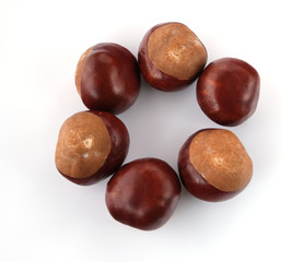 chestnuts on a white background
