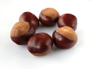 chestnuts on a white background