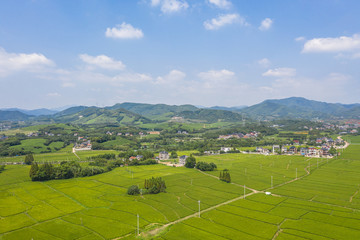 Fototapeta na wymiar small village with farm