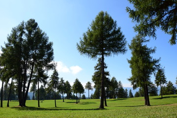 Salten - Jenesien - Südtirol - Panorama Almlandschaft