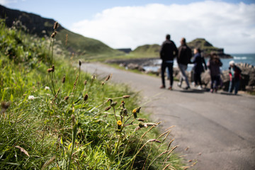 Obraz premium Coastal Walk