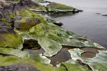spring cliff by the sea