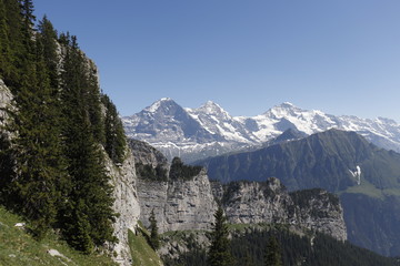 Swiss alpine mountains and vegetation in summer with snow mountains in the background. Eiger, Moench and Jungfrau.