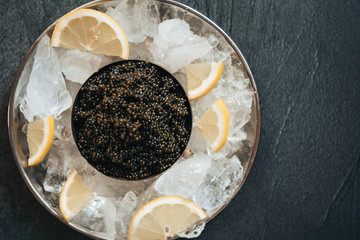 Sturgeon black caviar in can in the plate with ice and lemon on black table