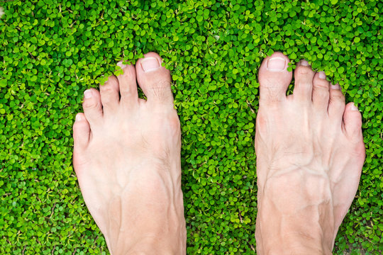 man's feet standing on grass (Desmodium triflorum)