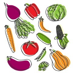 hand drawn fresh vegetables set