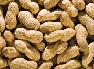 Erdnüsse