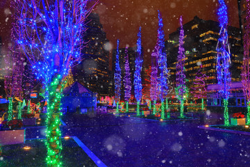 Columbus Commons in Ohio is illuminated the the Christmas holidays.  This is a popular attraction in this capital city.