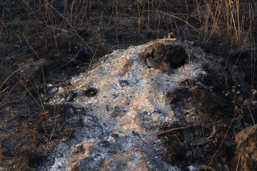 Ash field after fire ecological concept