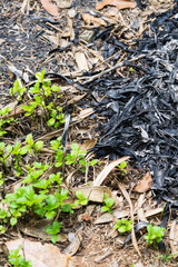 Traces of burning leaves on the ground