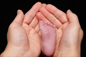Fototapeta premium Newborn baby's feet in father's hand