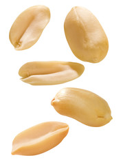 Erdnusskerne