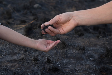 Male and child hand holding ash after fire in the forest ecological concept