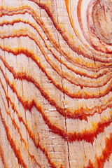 Blurred wooden texture background, vertical view. Abstract wooden texture background.