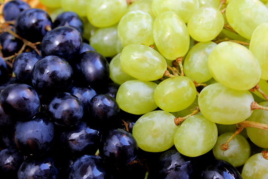 bunch texture fresh green and black grapes