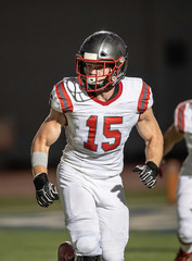 Great action photos of football players making amazing plays during a football game