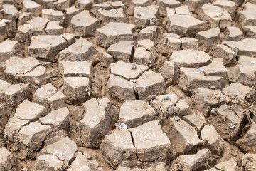 Drought of water sources. The impact of rain does not fall seasonally. Reservoir condition for drought consumption.	