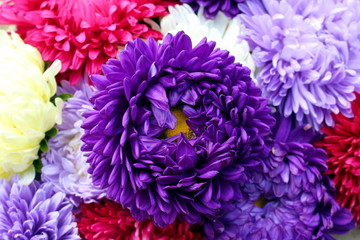 texture aster bouquet in the middle one lilac bud