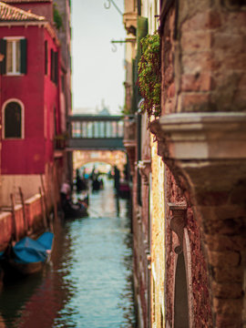 Vanice canal