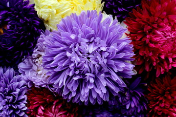 texture aster bouquet in the middle one lilac bud