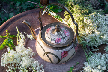 A teapot with fresh meadowsweet flowers