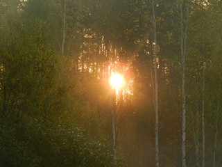 Ural autumn