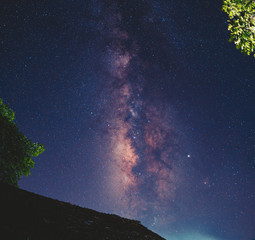Milky way sky At night in the forest