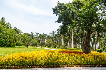 Fototapeta na wymiar Picturesque corner of the park in the center of the metropolis
