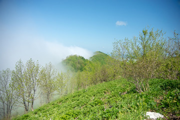clouds in the mountains